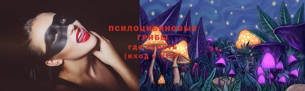 spice Ладушкин