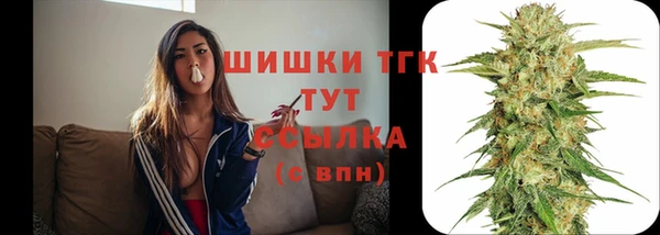 spice Ладушкин