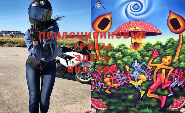 мяу мяу мука Лагань