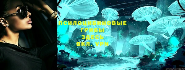 spice Ладушкин