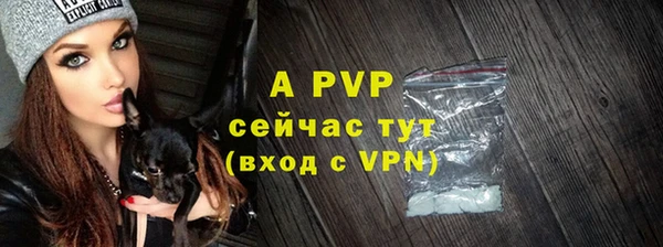 spice Ладушкин