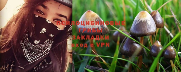дмт Лабытнанги