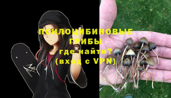 дмт Лабытнанги